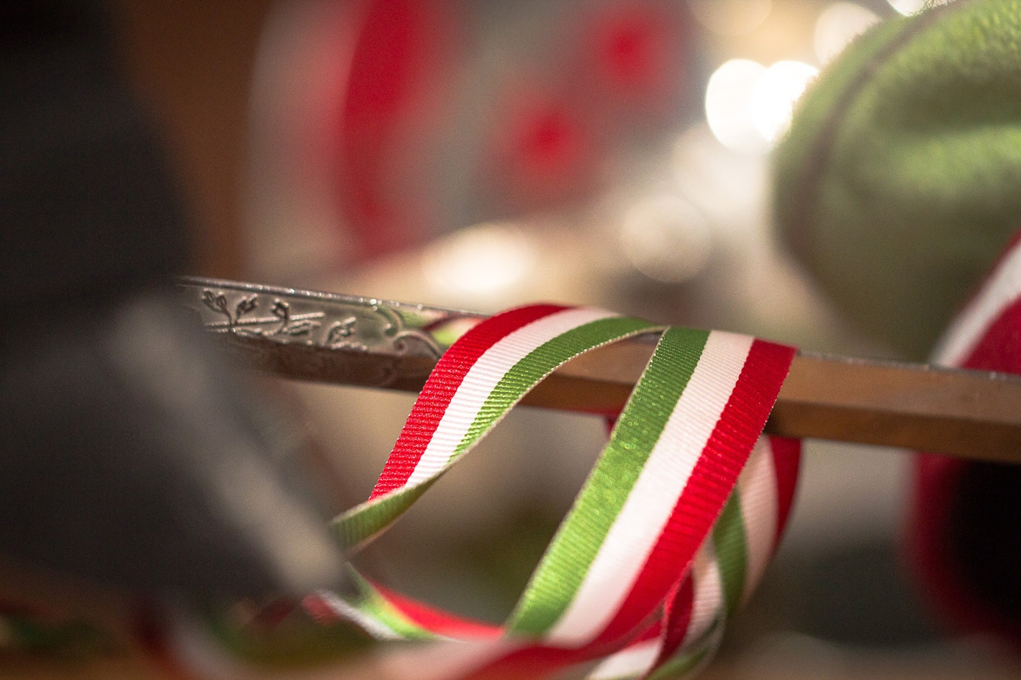 Trešais viesu vakars